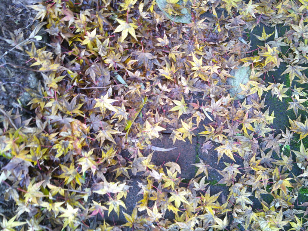 お財布の入荷までもう少し